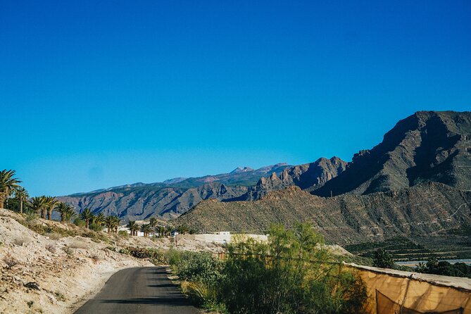 Double Tuk Tuk Tour in Costa Adeje - The Duke Area: Luxury Past and Present