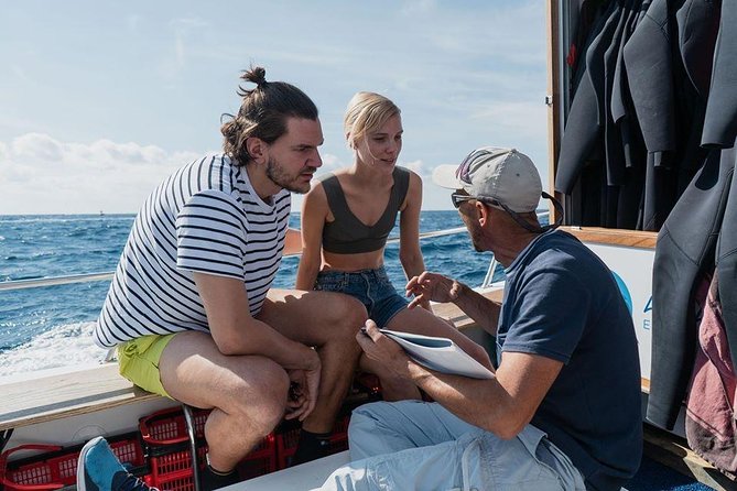 Eco Adapted Diving in Tenerife - Species spotting with a purpose: identify, then record