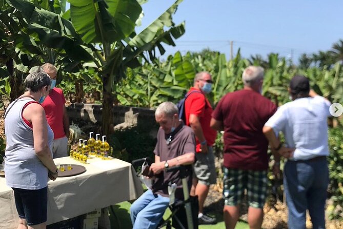 Eco banana farm Tour - Sustainable farming lessons: 95% self-sufficient in plain language