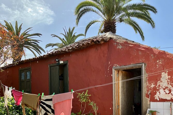 Eco banana farm Tour - Views and weather: when the outdoors behaves