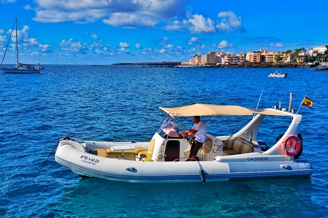 Eco Tour in the South of Tenerife with Snorkeling and Bathing Included - Key things that make this Rasca eco tour worth your time