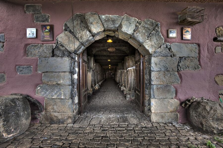 El Sauzal: Winery Tour and Mojo Sauce Workshop - Why El Sauzal and Bodegas Monje Fit the Way You Want to Travel