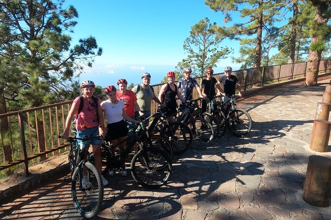 Electric Bike Teide Volcano Guided Tour - The 25 Km Descent and the Optional San Miguel Lunch Stop