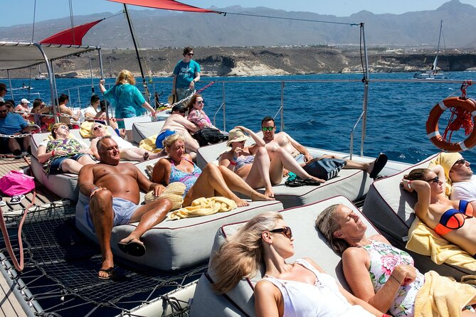 Exclusive Freebird Catamaran Whale & Dolphin to Masca From South - Price and Value: What $70.98 Buys You in Tenerife