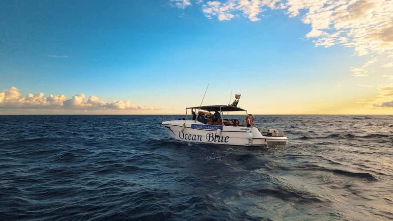 Excursion to see the whales - 3 Hours - Key Points That Make This Whale Watch Worth Your Time