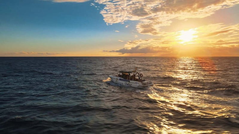Excursion to see the whales - 3 Hours - A Focused 3 Hours On The Atlantic In Tenerife