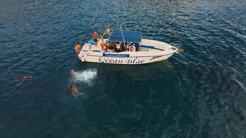 Excursion to see the whales - 3 Hours - Where You Board: Lina Yacht, Puerto Colón, And The Real Schedule