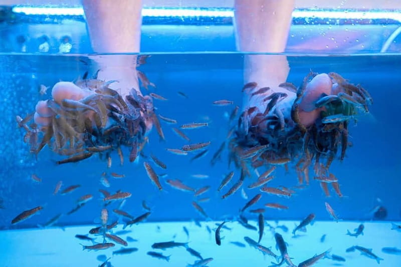 Fish Spa Experience - Fish Spa in Costa Adeje: 20 Minutes at Happy Feet Spa Tenerife