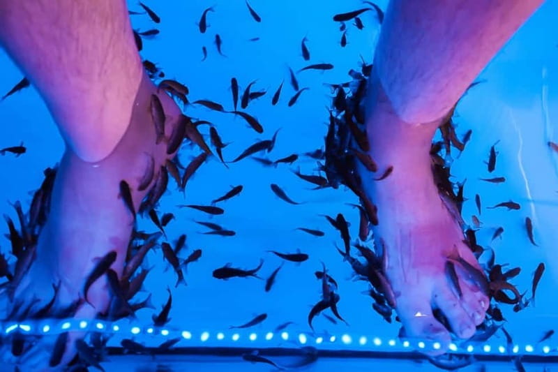 Fish Spa Experience - Who This Fish Spa at Happy Feet Spa Tenerife Is For