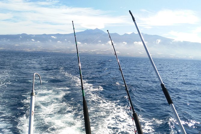 Fishing trip, Tenerife Sea Passion - Who This Trip Fits Best
