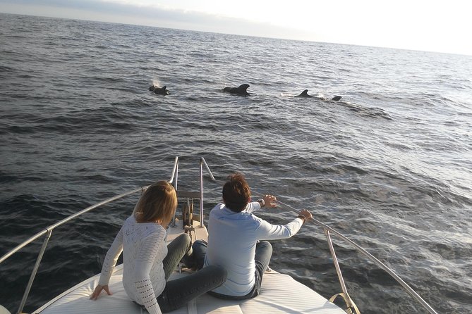 Fishing trip, Tenerife Sea Passion - Half-Day on the Water: What the 4 Hours Really Feels Like