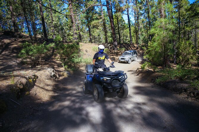 Forest & Off Road National Park Quad Biking Tour - Quad Biking in Tenerife’s Off-Road Forests, With Teide in the Background