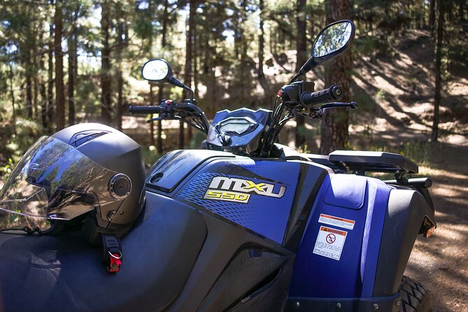 Forest & Off Road National Park Quad Biking Tour - Pickup From Los Cristianos to Callao Salvaje, and Why It Changes Your Day