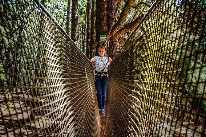 Forestal Park Tenerife Entrance Ticket - Ziplines and High Ropes: Flying Through Canary Pines