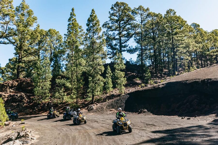 From Costa Adeje: Mount Teide Forest Off-Road Quad Bike Tour - Value on This Half-Day Adventure: What You Actually Get