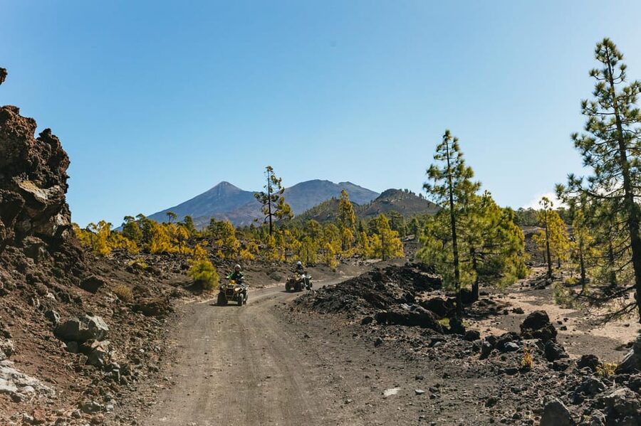 From Costa Adeje: Mount Teide Forest Off-Road Quad Bike Tour - Pickup From Costa Adeje and The Fast Route to Santiago del Teide