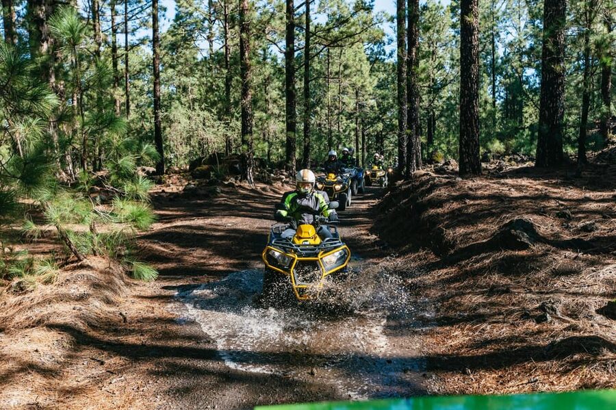 From Costa Adeje: Mount Teide Forest Off-Road Quad Bike Tour - Entering Teide National Park Forest Trails With Your Own Quad