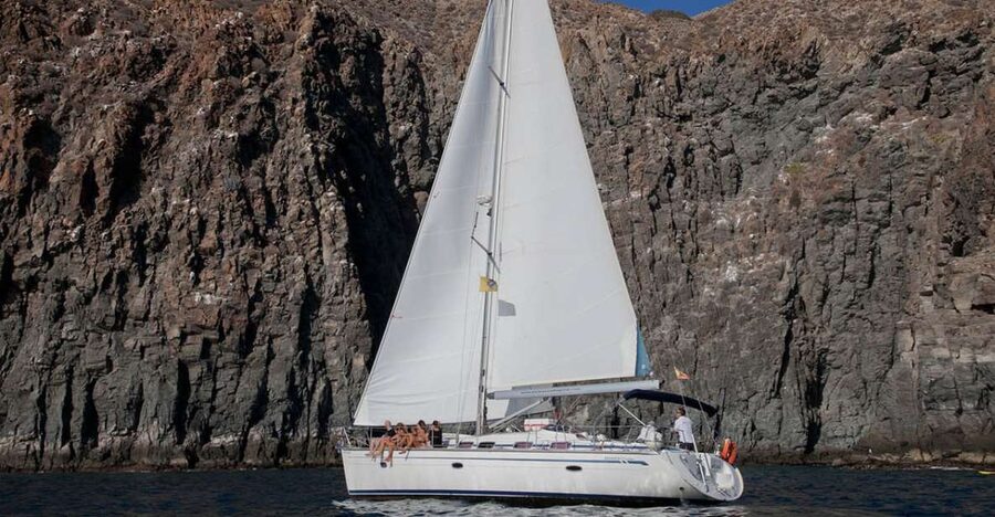 From Los Gigantes: Whale Watching Sailboat Cruise - Whale Watching from Los Gigantes on a 46-foot sailboat: what makes it special