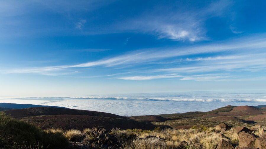 From Playa de las Américas: Full-Day Teide Jeep Safari - Key points that matter for your Teide Jeep day