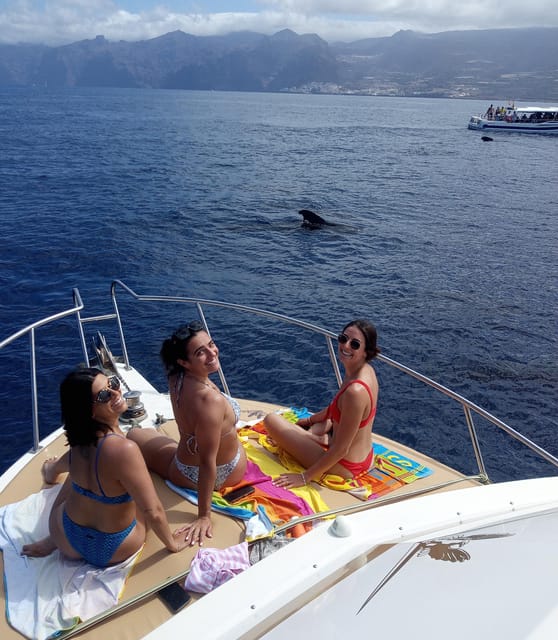 From Playa San Juan: Whale Watching, Gigantes, and Masca Bay - Timing, Duration, and the Itinerary Rhythm You Can Actually Plan Around