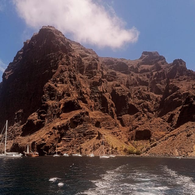 From Playa San Juan: Whale Watching, Gigantes, and Masca Bay - What the Boat Ride Feels Like, Where to Sit, and Photo Tips