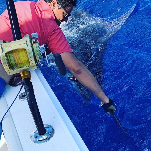 From Puerto Colón: Private Fishing Boat Charter with Lunch - Why Puerto Colón’s private charter on Tenerife feels different