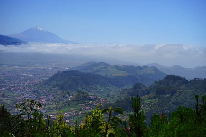 From Puerto de La Cruz: VIP Tour Around Anaga and La Laguna - First: what this day trip actually feels like