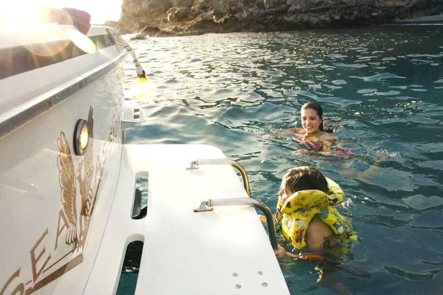 From San Juan beach : Marine Life Cruise - Key highlights to know before you go