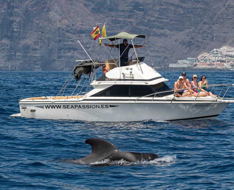 From San Juan beach : Marine Life Cruise - Price and value: what $77 buys you in real life