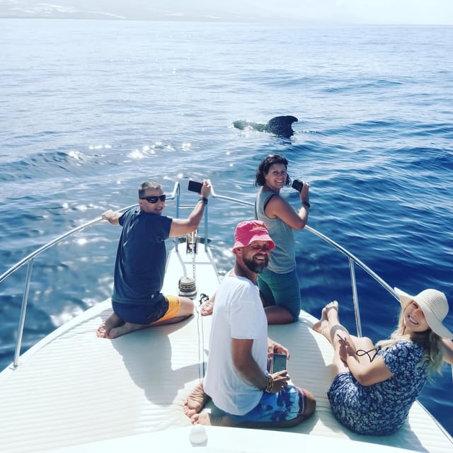 From San Juan beach : Marine Life Cruise - Quick practical checklist before you board