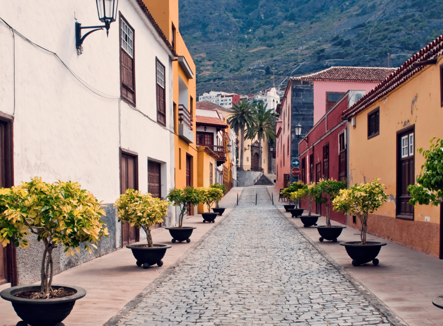From Santa Cruz de Tenerife: Masca & Garachico Private Trip - The guide makes the day: from explanations to photo timing