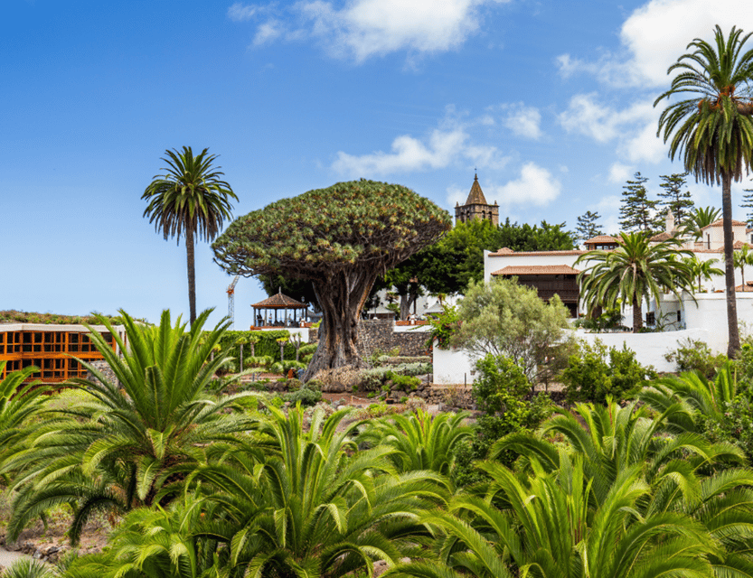 From Santa Cruz de Tenerife: Masca & Garachico Private Trip - Time, pace, and what to bring for 6 hours