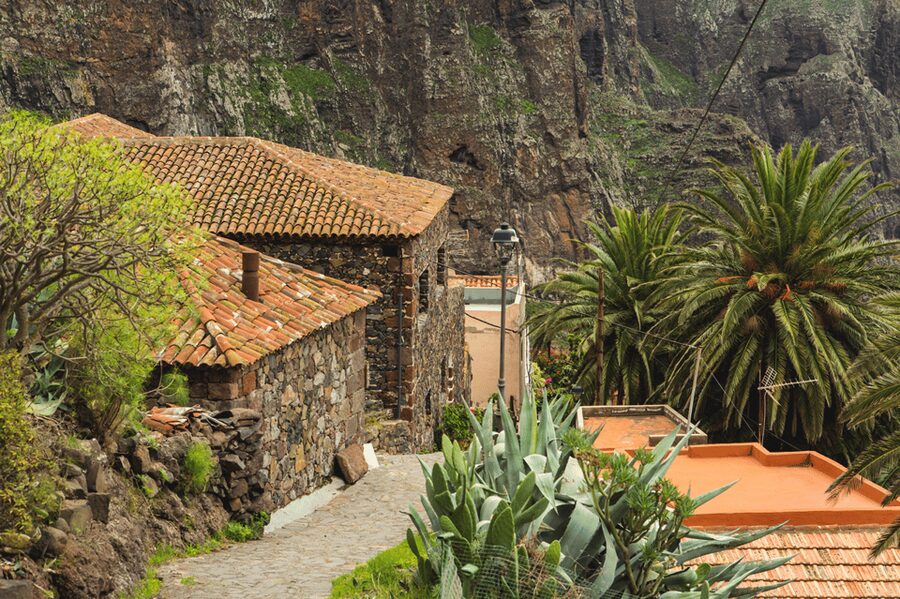 From Santa Cruz de Tenerife: Masca & Garachico Private Trip - The private car is not just comfort, it’s safety and sanity