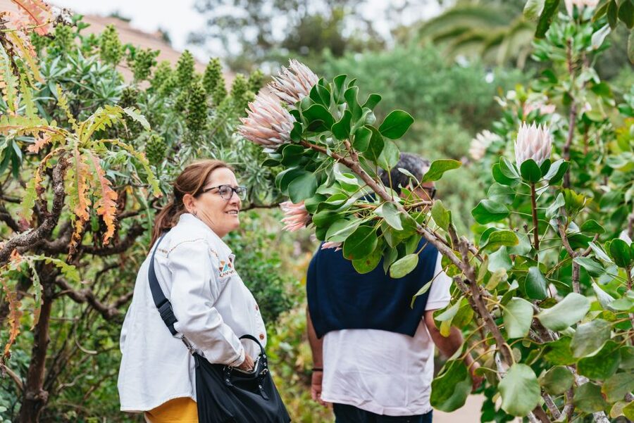 From South Tenerife: La Gomera Island Day Trip with Lunch - Key Things You Will Love on This La Gomera Day Trip