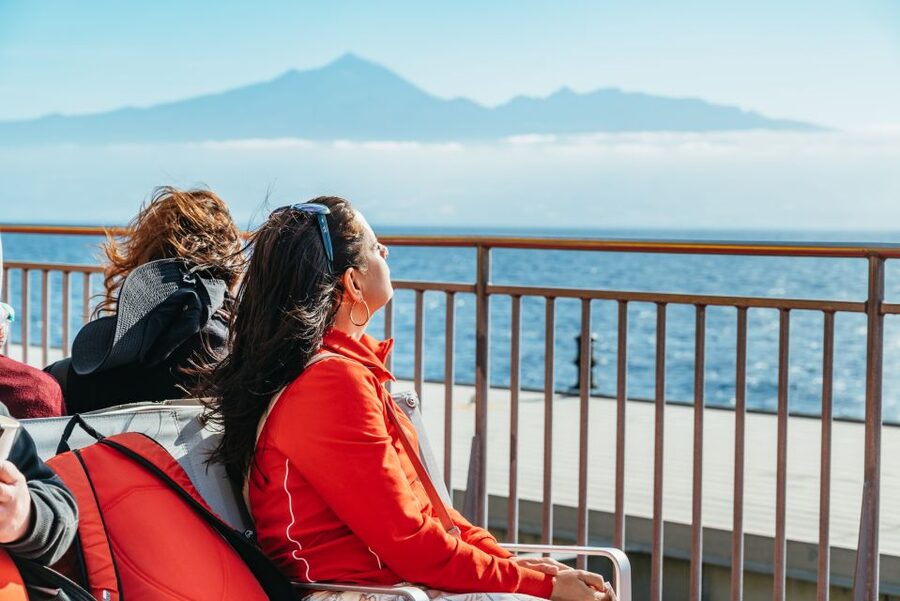 From South Tenerife: La Gomera Island Day Trip with Lunch - Price and Value: Is $124 Worth It for a 9-Hour La Gomera Circuit?