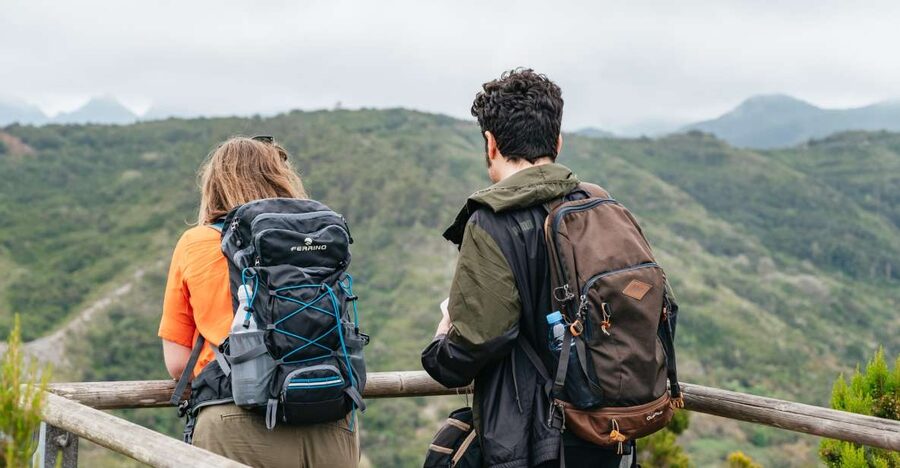 From South Tenerife: La Gomera Island Day Trip with Lunch - Why La Gomera Feels Like a Different World from Tenerife