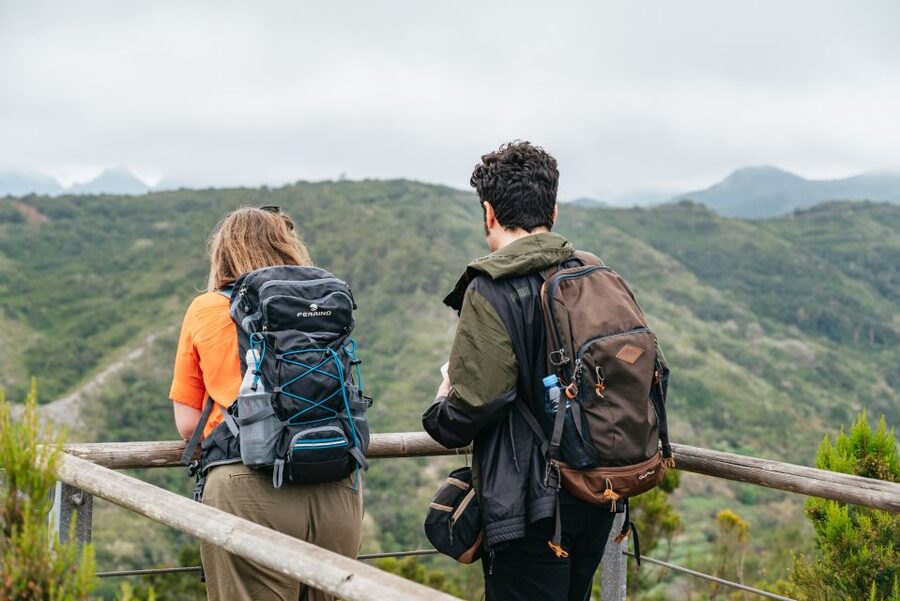 From South Tenerife: La Gomera Island Day Trip with Lunch - Garajonay National Park and El Cedro Forest: The Stop That Sets the Tone