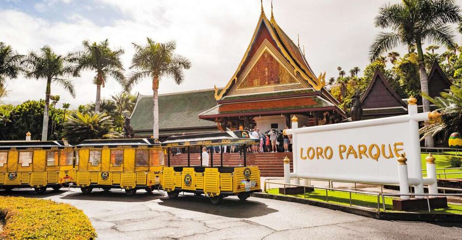 From South Tenerife: Loro Park Zoo Ticket & Hotel Transfers - Key Points at a Glance