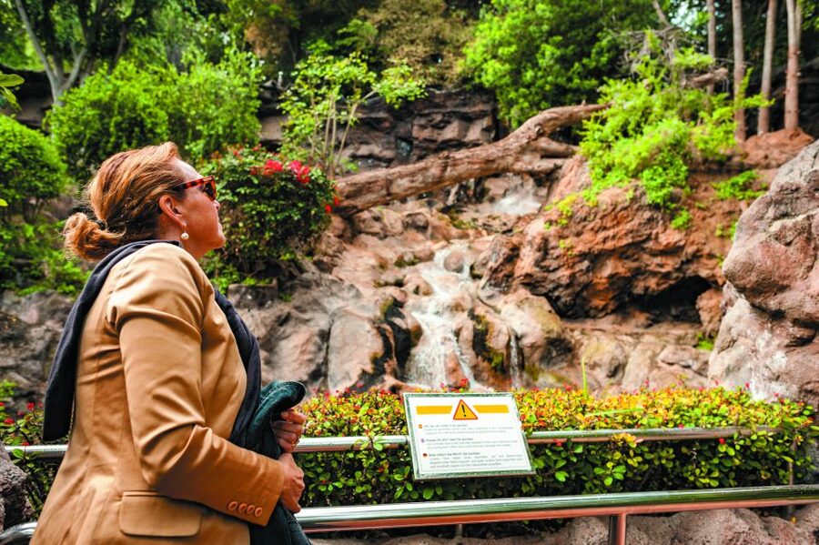 From South Tenerife: Loro Park Zoo Ticket & Hotel Transfers - Orca Ocean, Dolphins, and Sea Lions: Show Timing That Shapes Your Whole Day