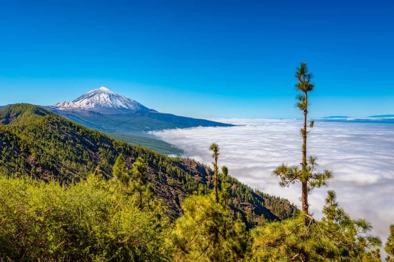 From South Tenerife: Mount Teide Hiking Day Trip & Cable Car - Price and Value: What $169 Buys You on This Specific Day Trip