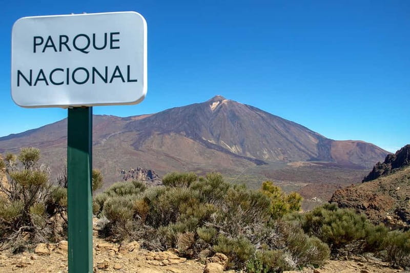 From South Tenerife: Mount Teide Hiking Day Trip & Cable Car - Guide Style, Group Size, and What Makes the Day Feel Smooth