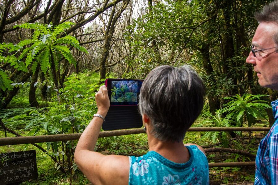 From South Tenerife: VIP Gomera Tour - Timing and Pacing: A Full Day With Fewer Waiting Moments