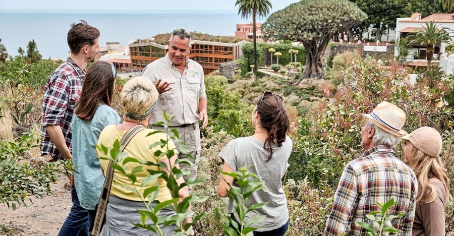 From South Tenerife: VIP Grand Tour Tenerife island - Key Things That Make This Tour Worth Your Time