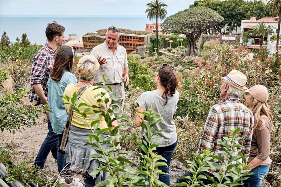 From South Tenerife: VIP Grand Tour Tenerife island - Isla Baja and the Orotava Valley: Tenerife’s Middle Ground That Matters