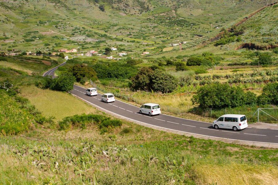 From South Tenerife: VIP Grand Tour Tenerife island - Garachico, Icod de los Vinos, and Vilaflor: Finishing With Variety