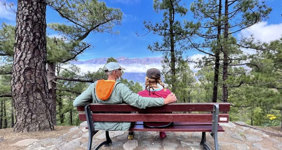 From Tenerife: Day Trip to La Palma Volcanic Landscapes - What’s included, what you should plan around, and why the price makes sense