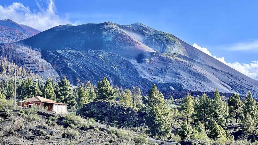 From Tenerife: Day Trip to La Palma Volcanic Landscapes - The bus loop that teaches you to read the island