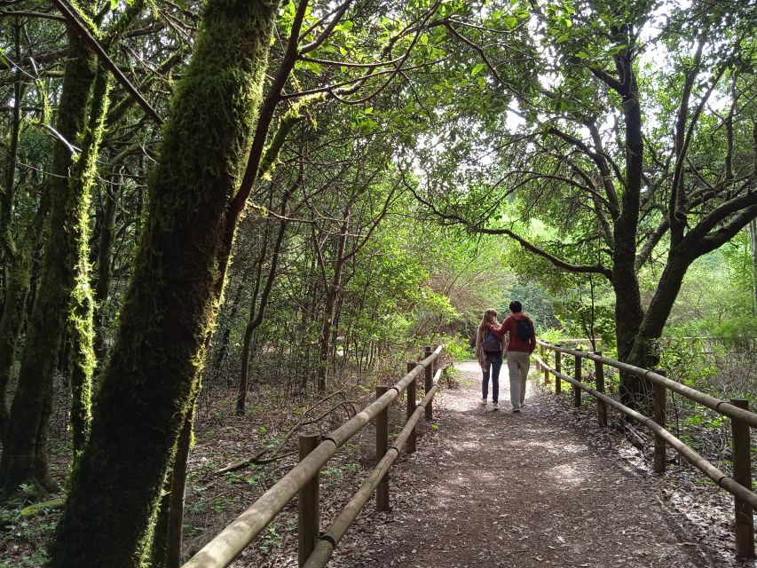 From Tenerife: La Gomera Day Trip with Guide - Pace, free moments, and how to make the most of a packed day