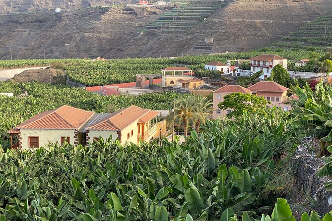 From Tenerife: Tajogaite Volcano, La Cumbrecita and Casco Antiguo - Santa Cruz de la Palma stop: the highlights in only 30 minutes