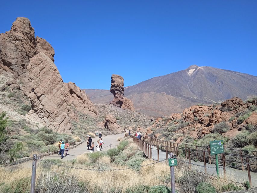 From Tenerife: Teide National Park Guided Day Trip by Bus - The First Change of Scenery: Pines, Endemic Plants, and Wild Canaries